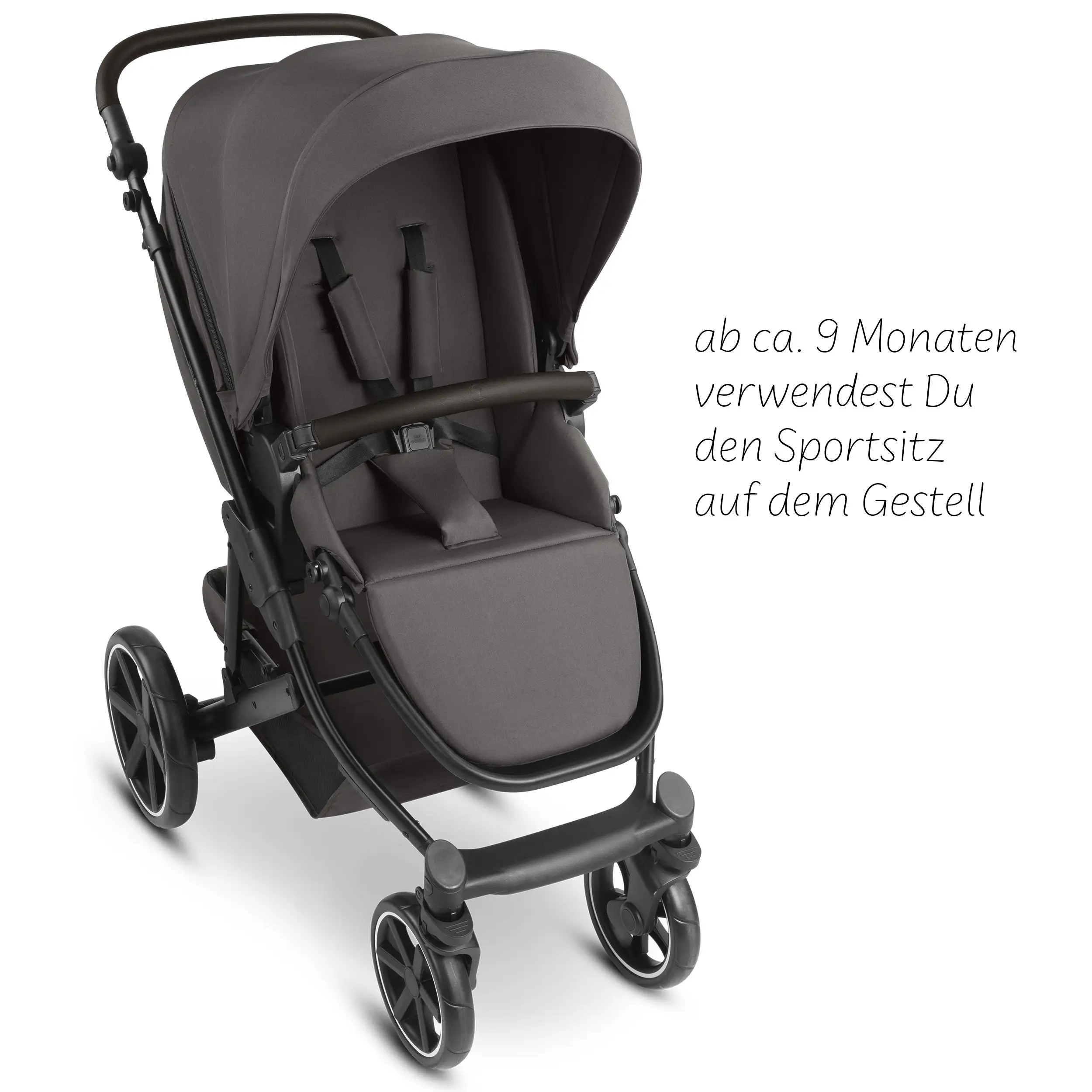 Set passeggino 4in1 Sierra con base Isofix inclusa - Nut