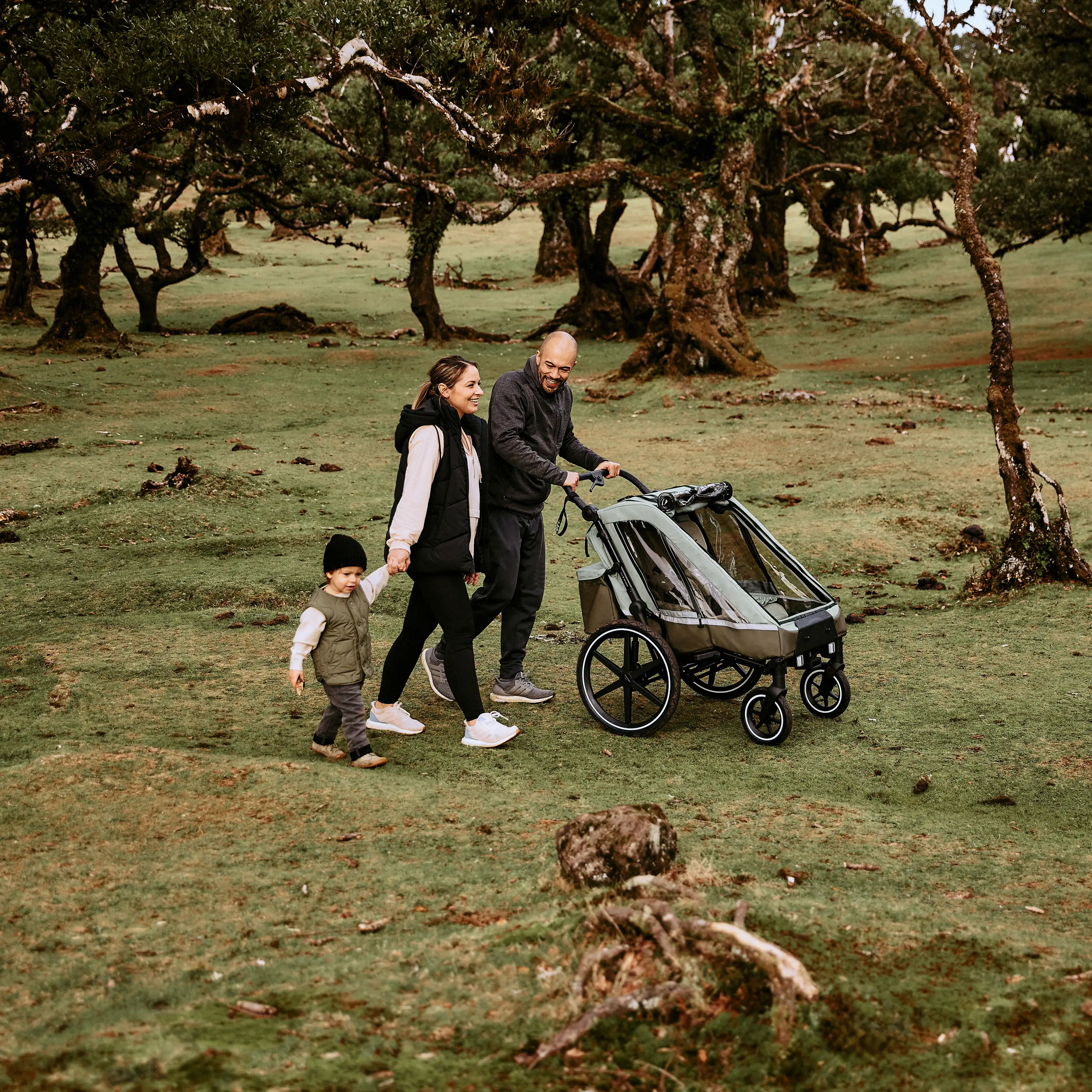 Passeggini per le passeggiate