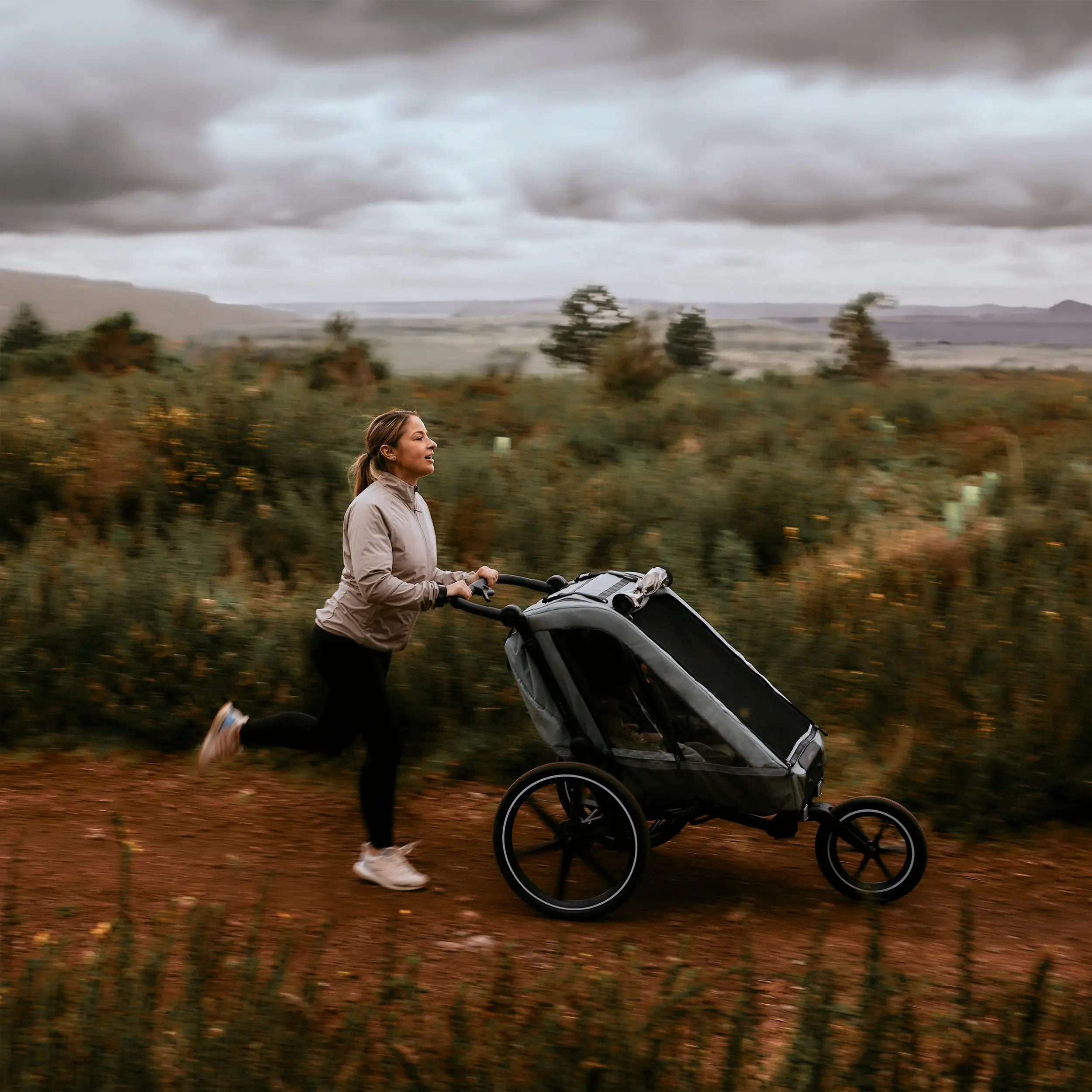 Rimorchio per biciclette Tour 2 con 2 comodi sedili e Ruote con camera d’aria - Olive