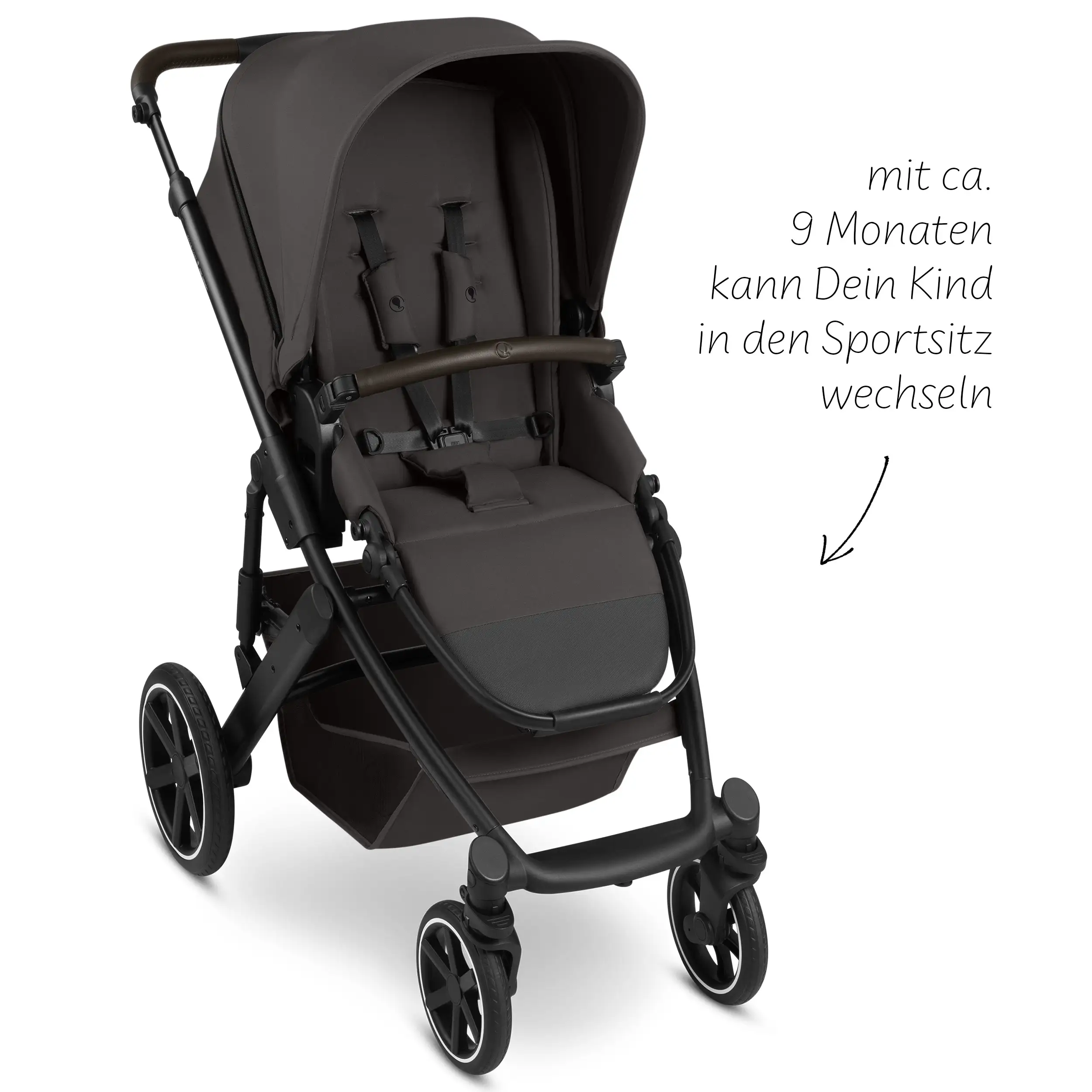 Set passeggino 3in1 Salsa Core incl. ovetto Calla con funzione reclinabile - Falcon