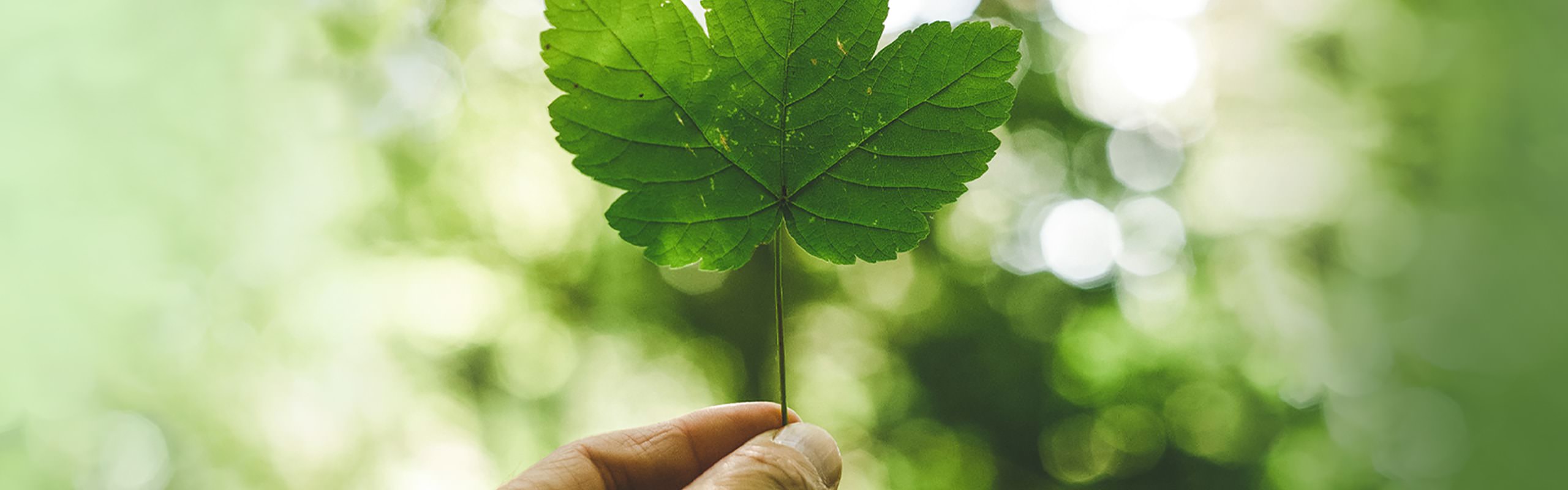 Bottiglia di plastica