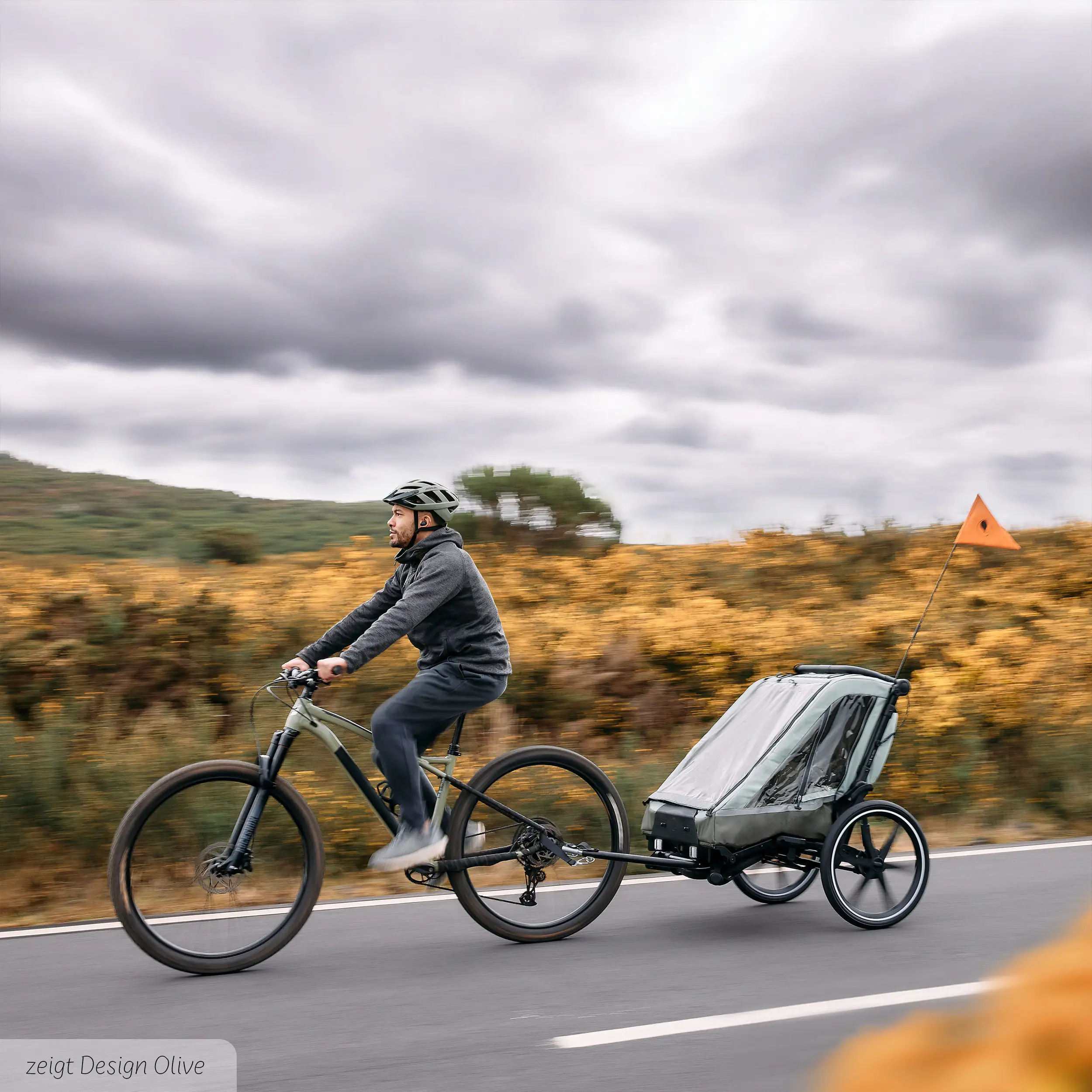 Rimorchio per biciclette Tour 2 con 2 comodi sedili e Ruote con camera d’aria - Falcon