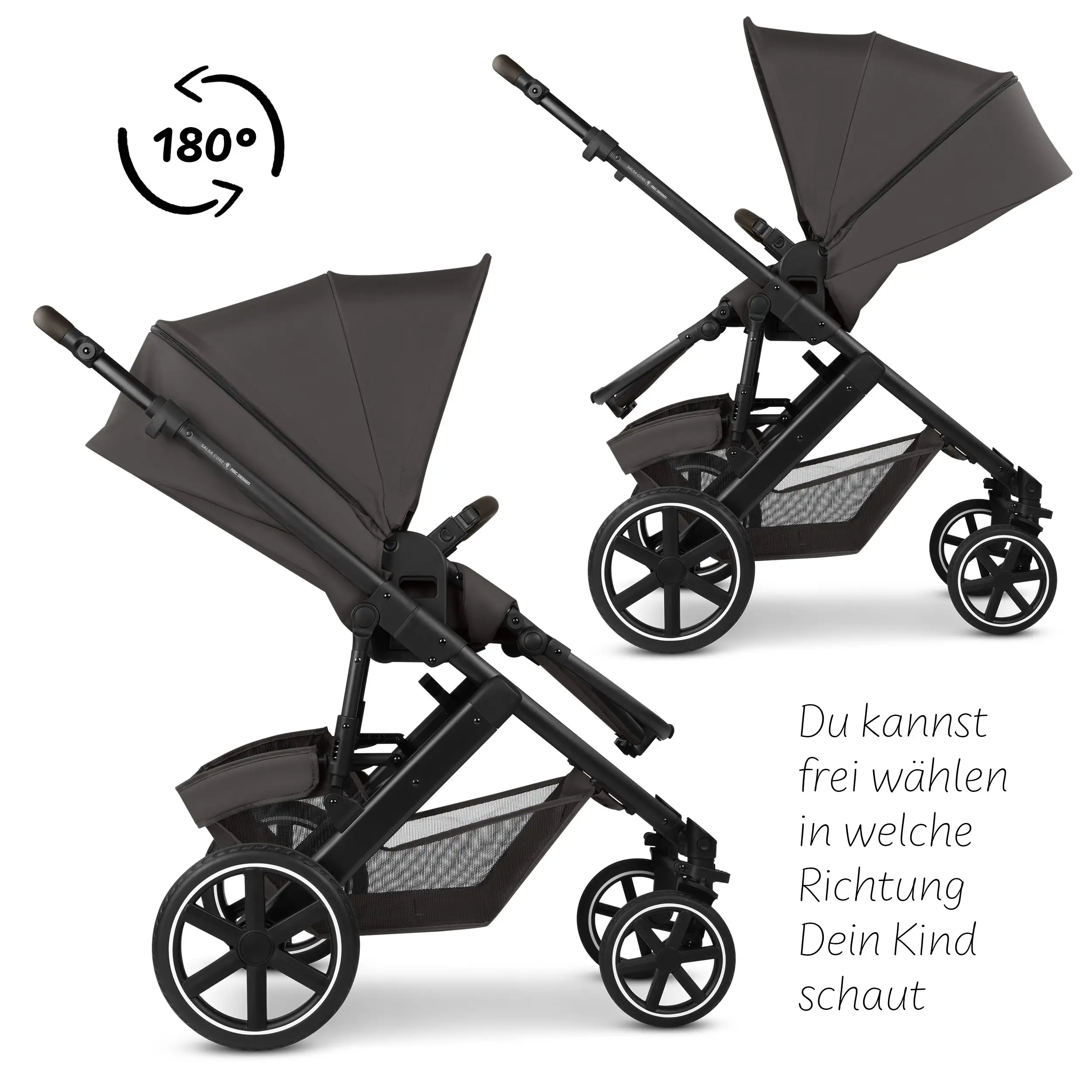 Set passeggino 3in1 Salsa Core incl. ovetto Calla con funzione reclinabile - Falcon