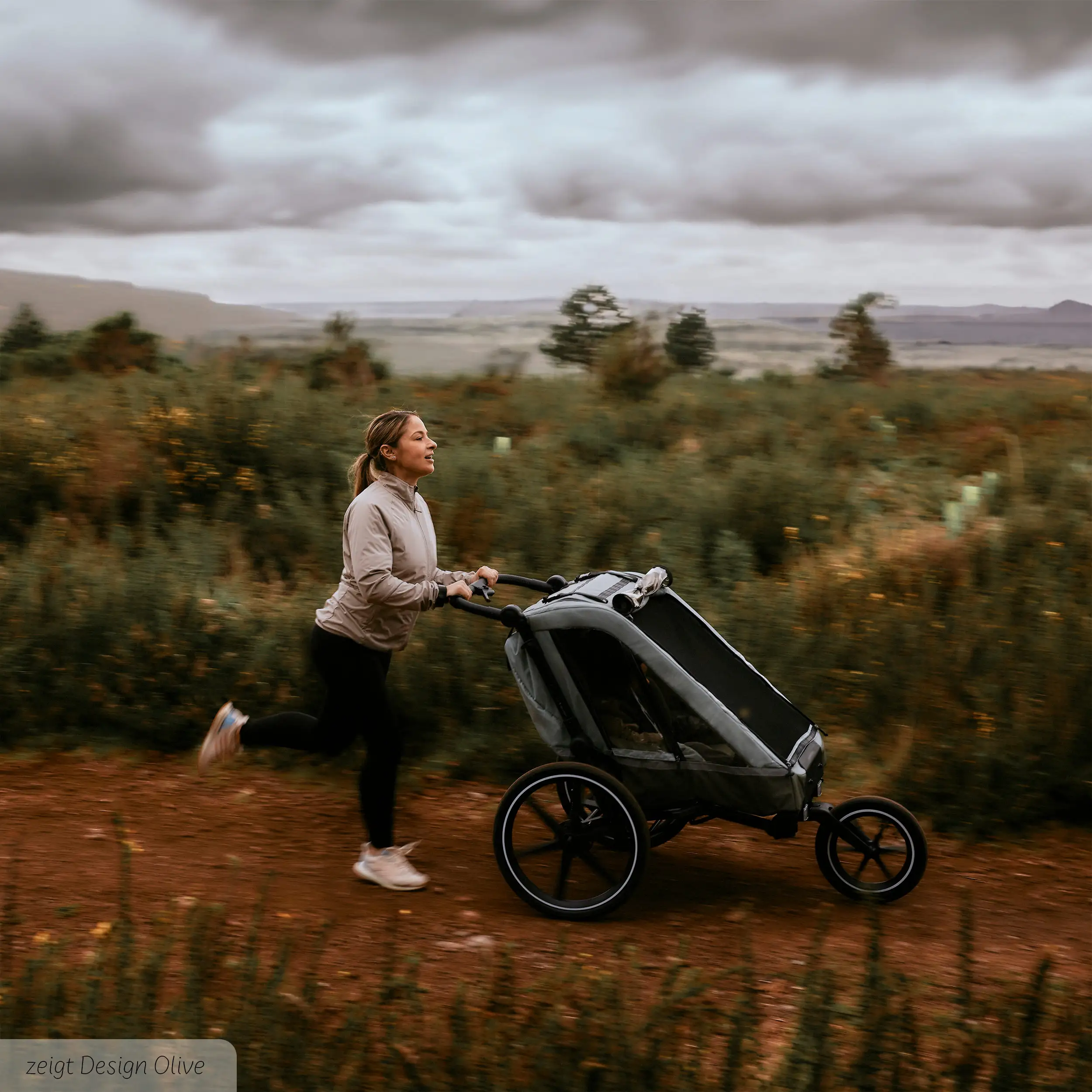 Rimorchio per biciclette Tour 2 con 2 comodi sedili e Ruote con camera d’aria - Falcon