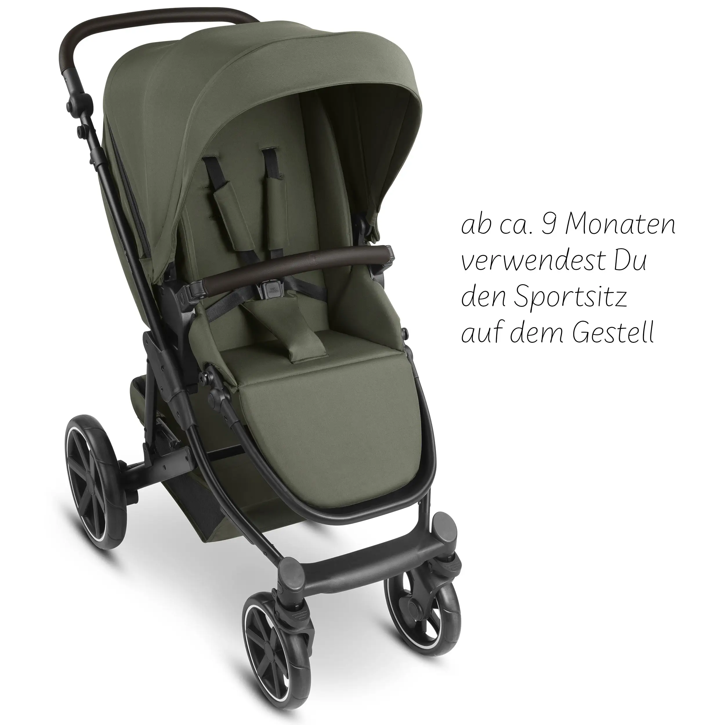 Set passeggino 4in1 Sierra con base Isofix inclusa - Pea